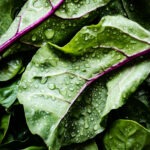 Leafy greens with purple veins and water droplets
